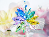 rear view mirror charm