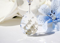 Swarovski Crystal Light Pull